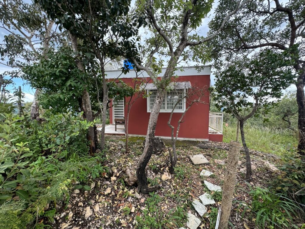 Casa em São Jorge – Sentido Mirante Lambuze