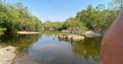 Chácara de 4 ha – Antiga Fazenda Canadá – Com Acesso a Cachoeira São Bartolomeu – Cavalcante de Goiás