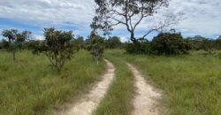 Chácara de 4 ha – Antiga Fazenda Canadá – Com Acesso a Cachoeira São Bartolomeu – Cavalcante de Goiás