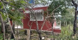 Casa em São Jorge – Sentido Mirante Lambuze