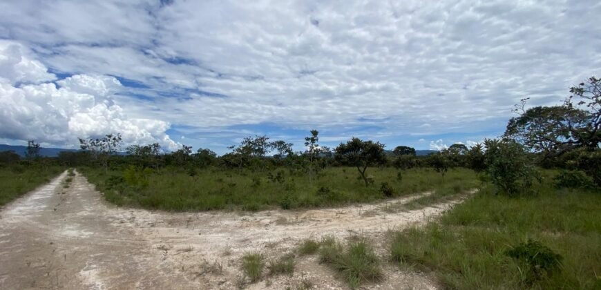 Chácara de 4 ha – Antiga Fazenda Canadá – Com Acesso a Cachoeira São Bartolomeu – Cavalcante de Goiás