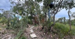 Casa em São Jorge – Sentido Mirante Lambuze
