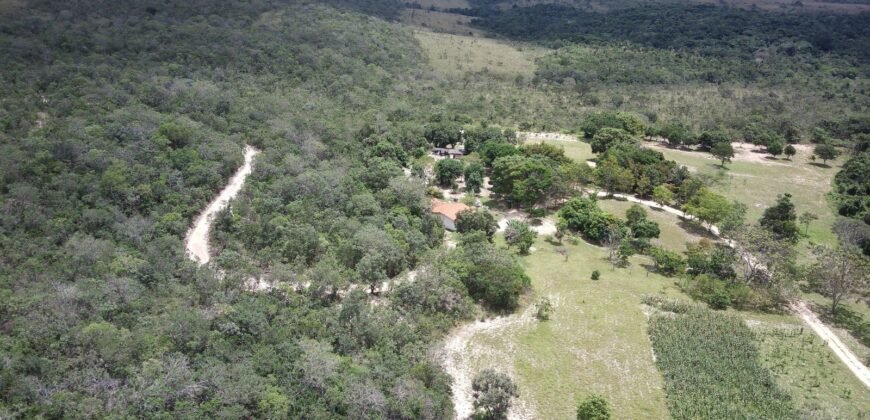 Belissima propriedade – Negócio em funcionamento – 12.3ha – Próximo da Serra da Boa Vista – Alto Paraíso