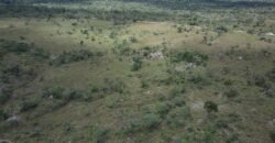 Gleba 4 ha – Rio Almas – Cavalcante de Goiás – Chapada dos Veadeiros