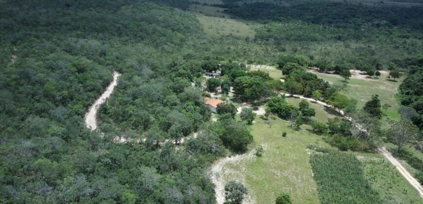 Belissima propriedade – Negócio em funcionamento – 12.3ha – Próximo da Serra da Boa Vista – Alto Paraíso