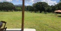 Belissima propriedade – Negócio em funcionamento – 12.3ha – Próximo da Serra da Boa Vista – Alto Paraíso