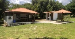 Belissima propriedade – Negócio em funcionamento – 12.3ha – Próximo da Serra da Boa Vista – Alto Paraíso