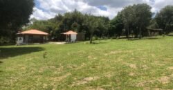 Belissima propriedade – Negócio em funcionamento – 12.3ha – Próximo da Serra da Boa Vista – Alto Paraíso