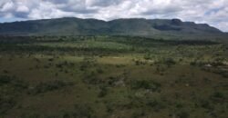Gleba 4 ha – Rio Almas – Cavalcante de Goiás – Chapada dos Veadeiros