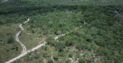 Gleba 4 ha – Rio Almas – Cavalcante de Goiás – Chapada dos Veadeiros
