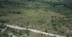 Gleba 4 ha – Rio Almas – Cavalcante de Goiás – Chapada dos Veadeiros