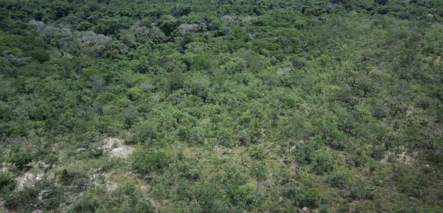 Gleba 4 ha – Rio Almas – Cavalcante de Goiás – Chapada dos Veadeiros