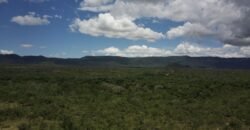 Gleba 4 ha – Rio Almas – Cavalcante de Goiás – Chapada dos Veadeiros