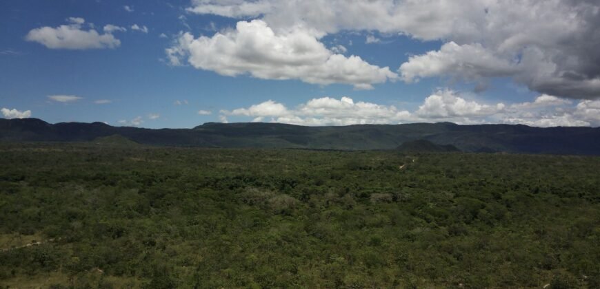 Gleba 4 ha – Rio Almas – Cavalcante de Goiás – Chapada dos Veadeiros