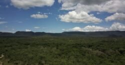 Gleba 4 ha – Rio Almas – Cavalcante de Goiás – Chapada dos Veadeiros