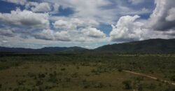 Gleba 4 ha – Rio Almas – Cavalcante de Goiás – Chapada dos Veadeiros