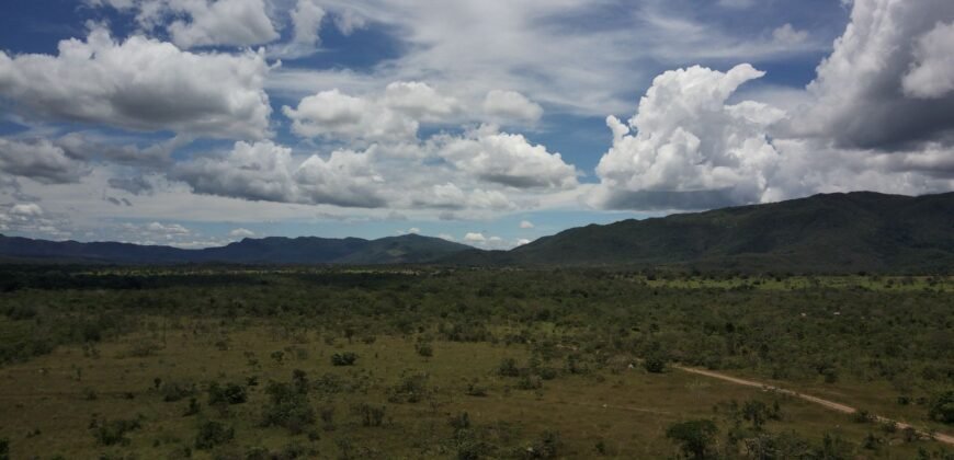 Gleba 4 ha – Rio Almas – Cavalcante de Goiás – Chapada dos Veadeiros