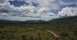 Gleba 4 ha – Rio Almas – Cavalcante de Goiás – Chapada dos Veadeiros