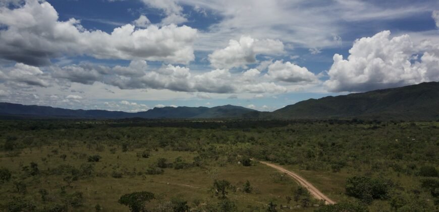 Gleba 4 ha – Rio Almas – Cavalcante de Goiás – Chapada dos Veadeiros