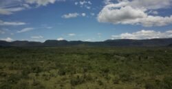 Gleba 4 ha – Rio Almas – Cavalcante de Goiás – Chapada dos Veadeiros