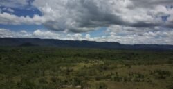 Gleba 4 ha – Rio Almas – Cavalcante de Goiás – Chapada dos Veadeiros