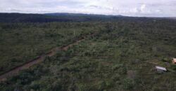 Chácara 4ha – Fazendo Flor da Mata – 14km de Alto Paraíso sentido Brasília