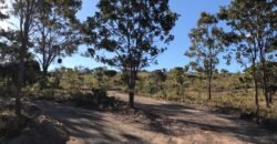 Chácara 4ha – Fazendo Flor da Mata – 14km de Alto Paraíso sentido Brasília