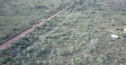 Chácara 4ha – Fazendo Flor da Mata – 14km de Alto Paraíso sentido Brasília