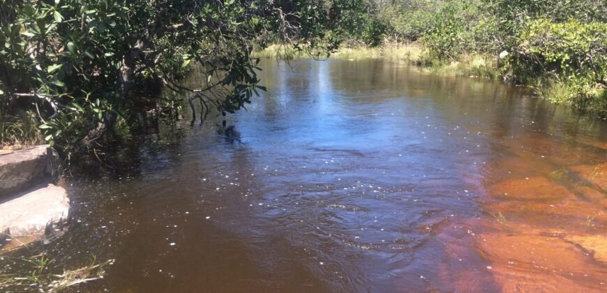 Chácara 4ha – Fazendo Flor da Mata – 14km de Alto Paraíso sentido Brasília