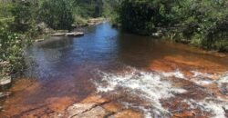 Chácara 4ha – Fazendo Flor da Mata – 14km de Alto Paraíso sentido Brasília