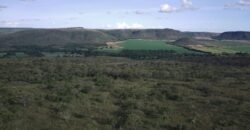 Chácara 4ha – Fazendo Flor da Mata – 14km de Alto Paraíso sentido Brasília