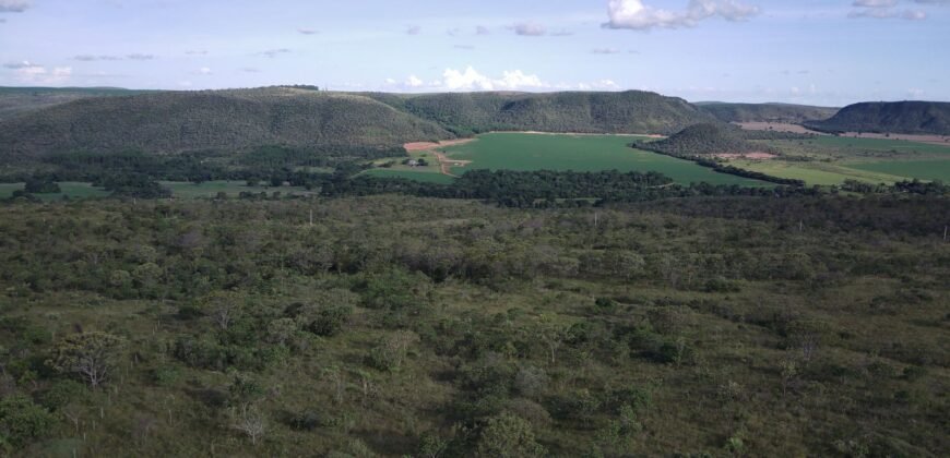 Chácara 4ha – Fazendo Flor da Mata – 14km de Alto Paraíso sentido Brasília