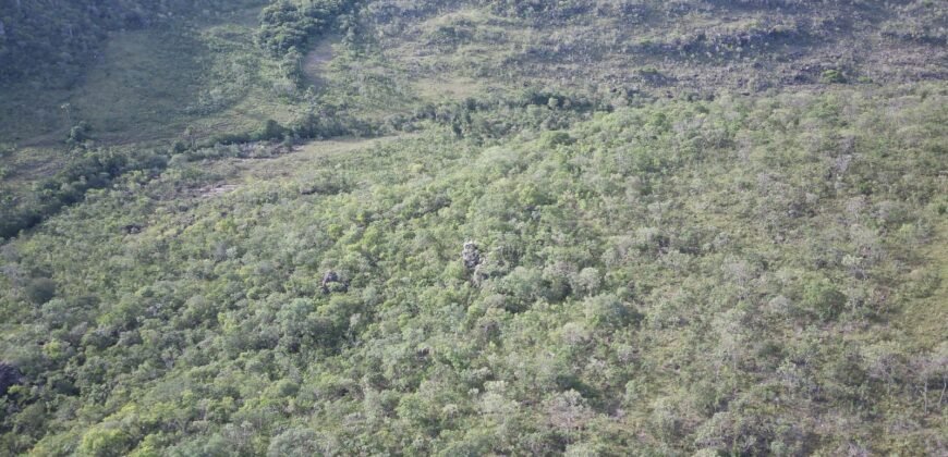 Chácara 4ha – Fazendo Flor da Mata – 14km de Alto Paraíso sentido Brasília