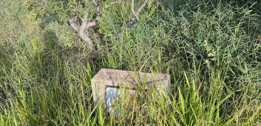 Chácara 4ha – Fazendo Flor da Mata – 14km de Alto Paraíso sentido Brasília