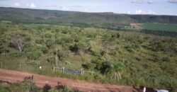 Chácara 4ha – Fazendo Flor da Mata – 14km de Alto Paraíso sentido Brasília