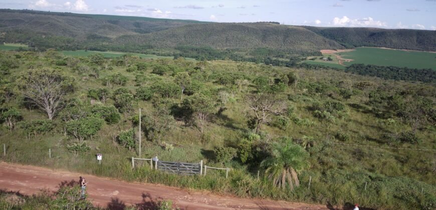 Chácara 4ha – Fazendo Flor da Mata – 14km de Alto Paraíso sentido Brasília