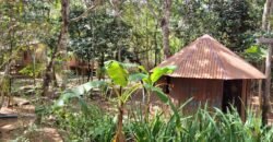 Maravilhosa Propriedade 7.000m2 – Condomínio Samassati – Morrão – Alto Paaraíso/G