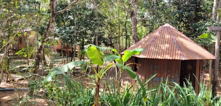 Maravilhosa Propriedade 7.000m2 – Condomínio Samassati – Morrão – Alto Paaraíso/G