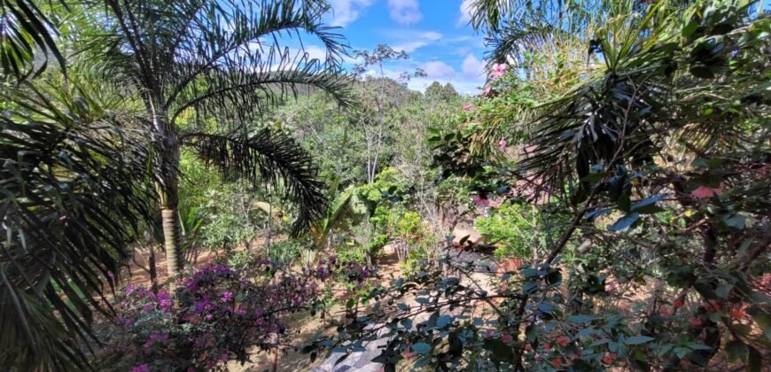 Maravilhosa Propriedade 7.000m2 – Condomínio Samassati – Morrão – Alto Paaraíso/G