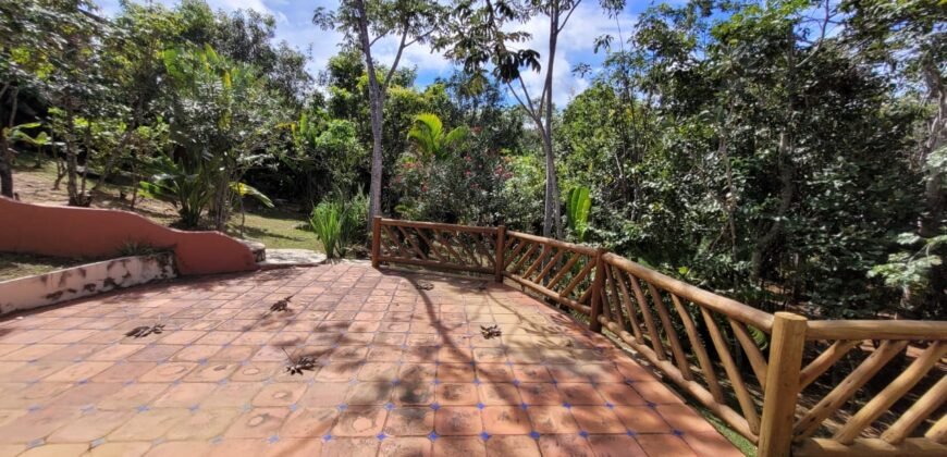 Maravilhosa Propriedade 7.000m2 – Condomínio Samassati – Morrão – Alto Paaraíso/G