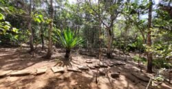 Maravilhosa Propriedade 7.000m2 – Condomínio Samassati – Morrão – Alto Paaraíso/G
