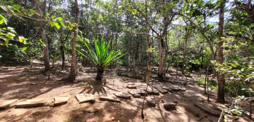 Maravilhosa Propriedade 7.000m2 – Condomínio Samassati – Morrão – Alto Paaraíso/G