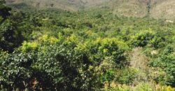 Maravilhosa Propriedade 7.000m2 – Condomínio Samassati – Morrão – Alto Paaraíso/G