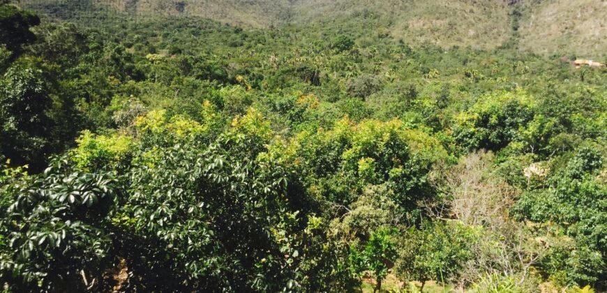 Maravilhosa Propriedade 7.000m2 – Condomínio Samassati – Morrão – Alto Paaraíso/G