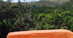Maravilhosa Propriedade 7.000m2 – Condomínio Samassati – Morrão – Alto Paaraíso/G