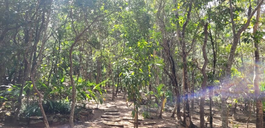 Maravilhosa Propriedade 7.000m2 – Condomínio Samassati – Morrão – Alto Paaraíso/G