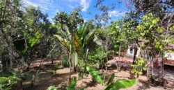 Maravilhosa Propriedade 7.000m2 – Condomínio Samassati – Morrão – Alto Paaraíso/G