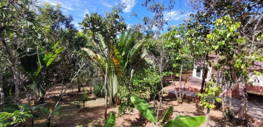 Maravilhosa Propriedade 7.000m2 – Condomínio Samassati – Morrão – Alto Paaraíso/G