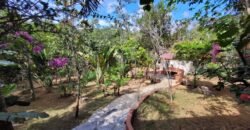 Maravilhosa Propriedade 7.000m2 – Condomínio Samassati – Morrão – Alto Paaraíso/G