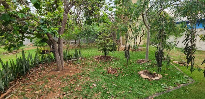 Casa com 2 lotes – Monte Sinai – Alto Paraíso de Goiás